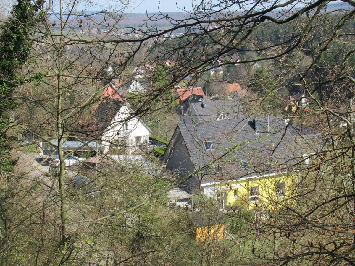 Le Clos d'Auré. Oberhaslach Exterior foto
