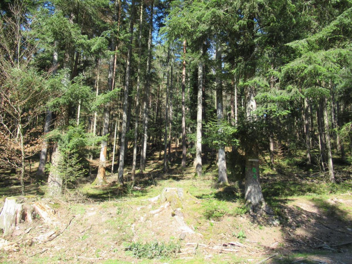 Le Clos d'Auré. Oberhaslach Exterior foto