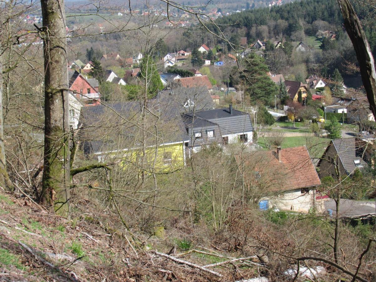 Le Clos d'Auré. Oberhaslach Exterior foto